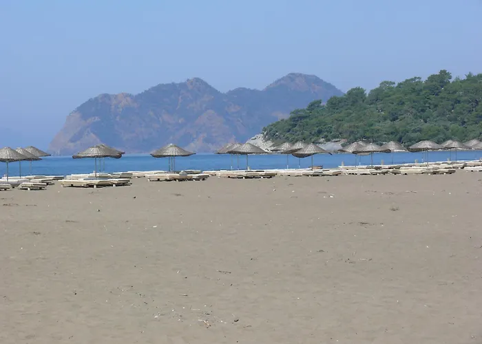 Minta Dalyan